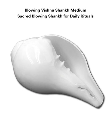 Blowing_Vishnu_Shankh_Medium_07ee67bb-69ff-4821-bcad-56c449c8fb68
