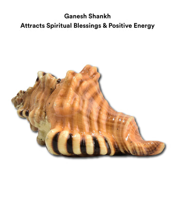 Ganesh_Shankh_2bdf37d0-19ff-45c2-a7f0-9e2f0c924f99
