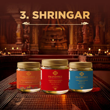 3_Shringar