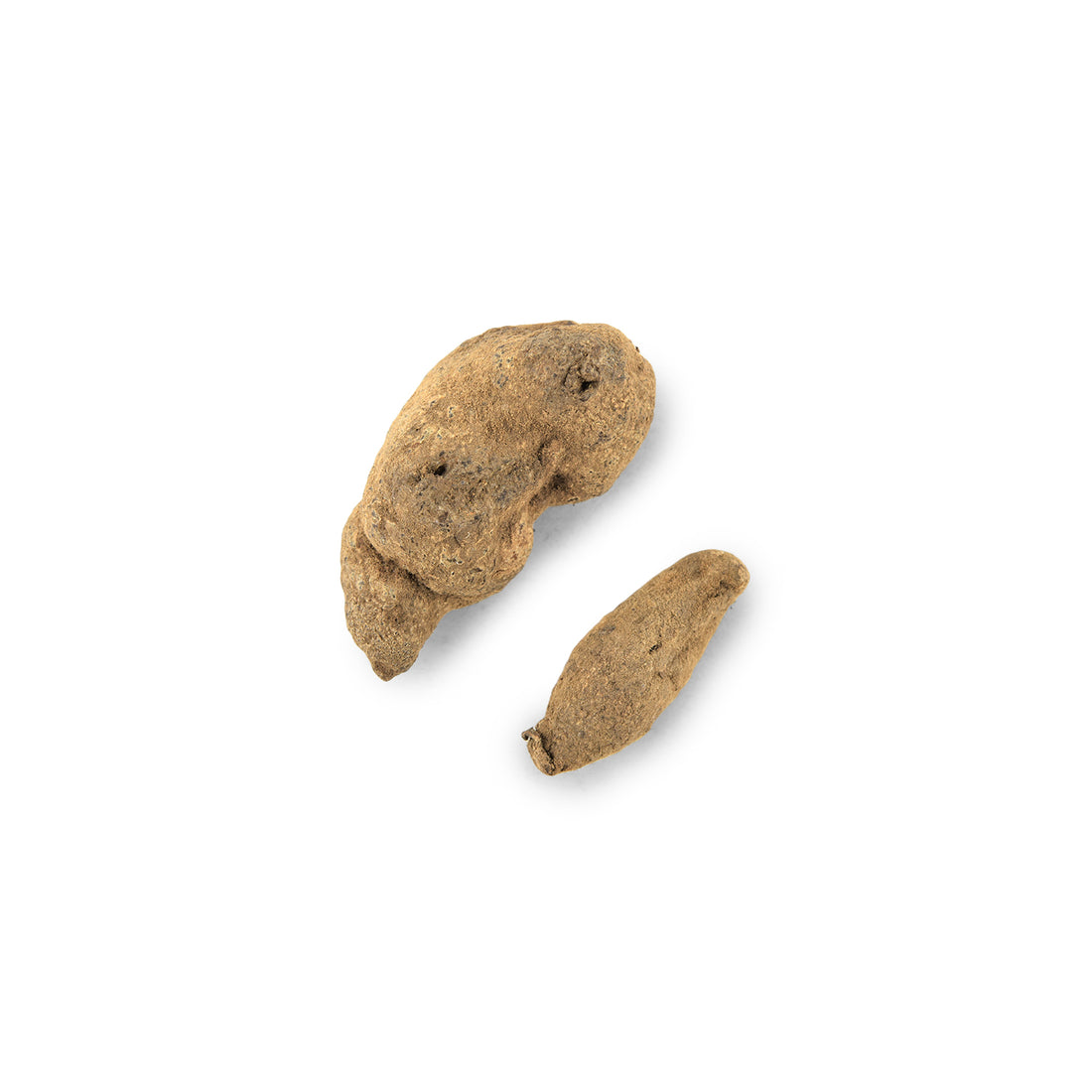 Riddhi Siddhi - 1 Pair
