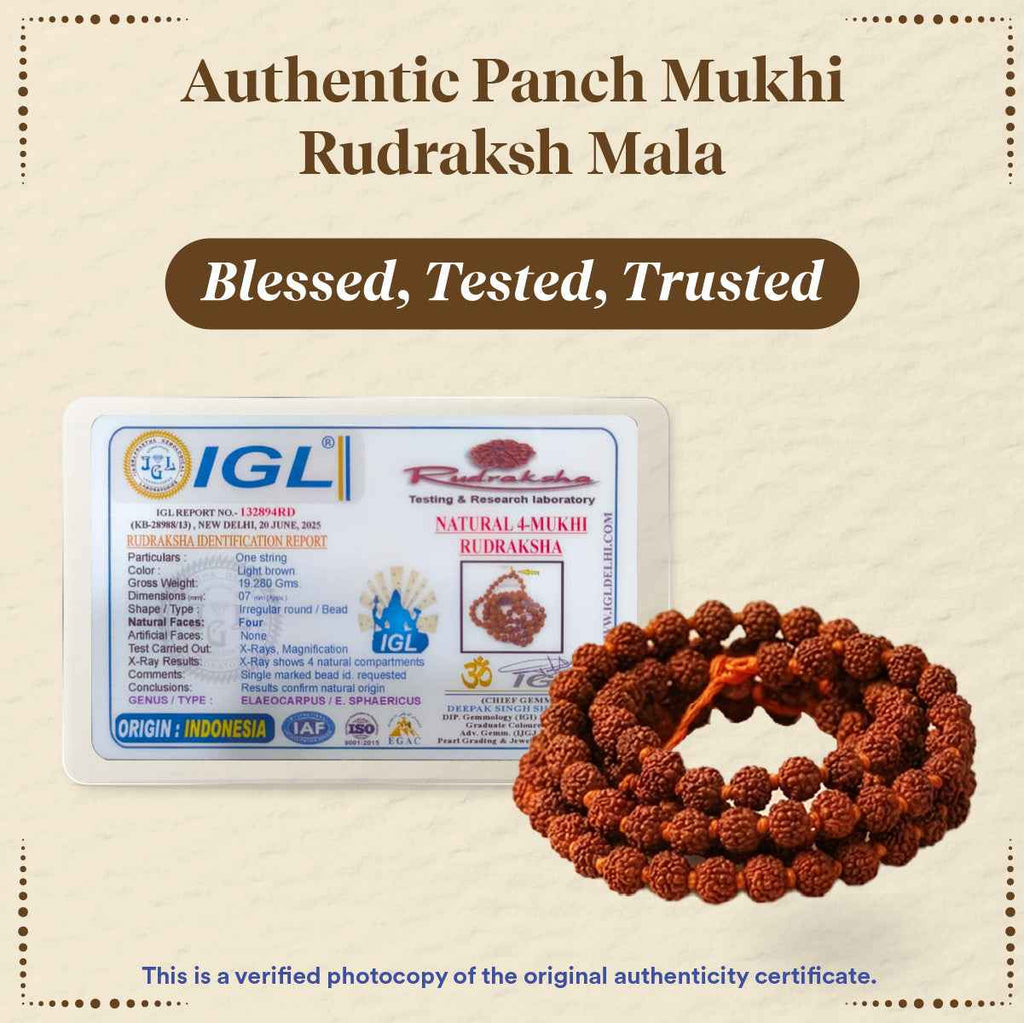 Panchmukhi Rudraksha Mala Small (8 MM)- For Deep Meditation & Spiritua ...