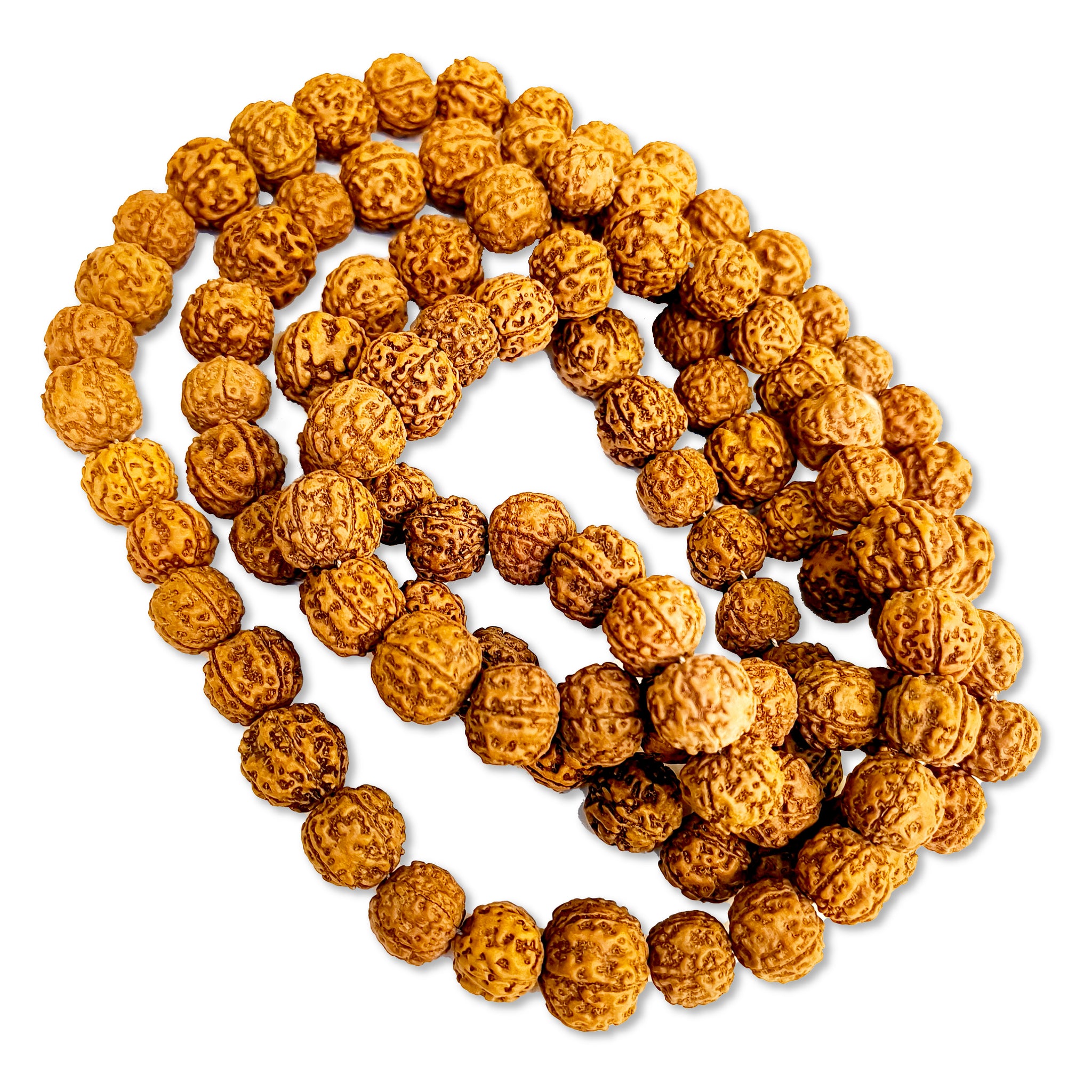 Pujashree Panchmukhi Rudraksha Mala - Medium (12 MM)