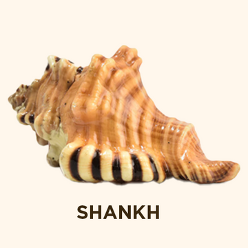 SANKH_54e361d2-8b33-49ed-824c-a38dbb945ea6