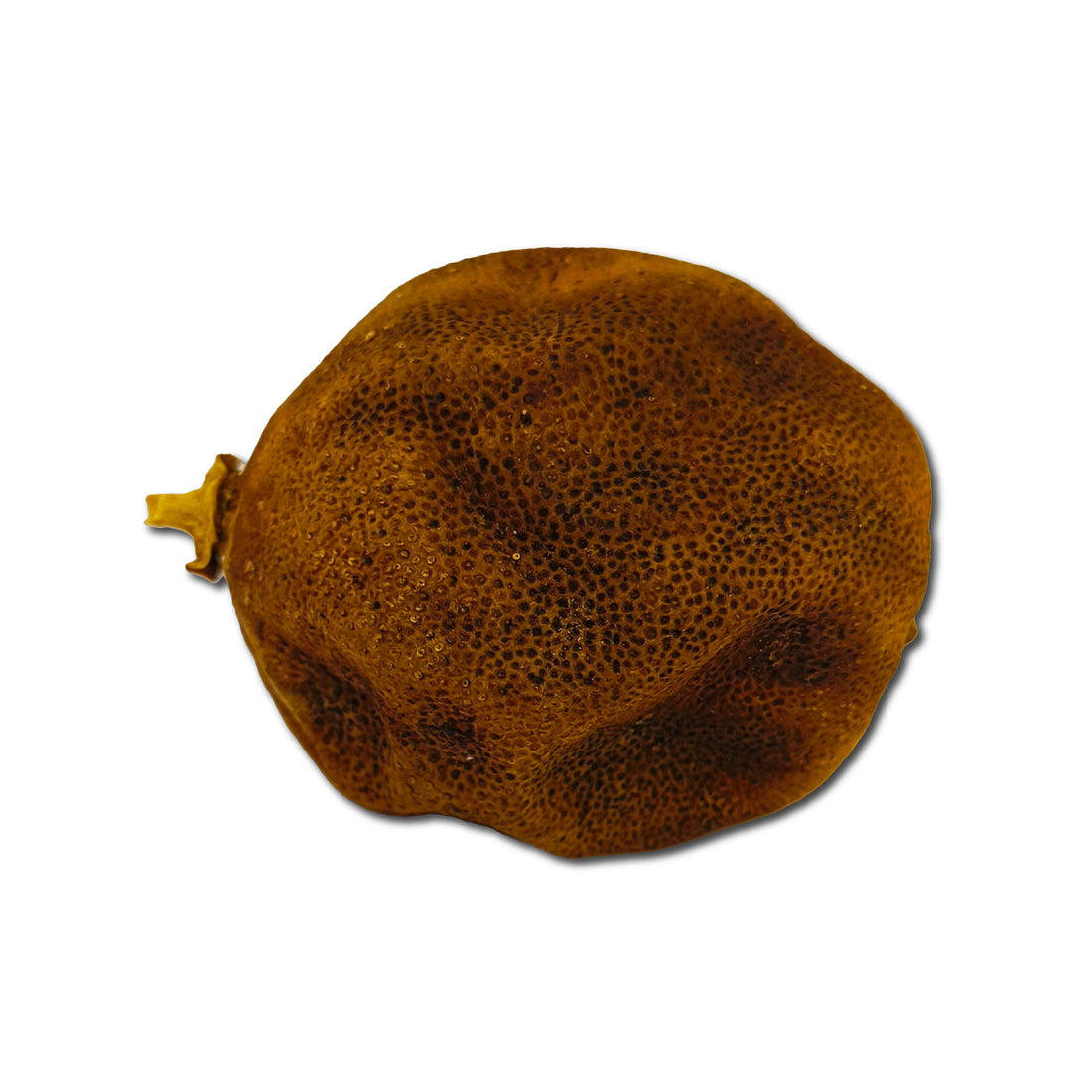 Bijora Nimboo 1 Piece
