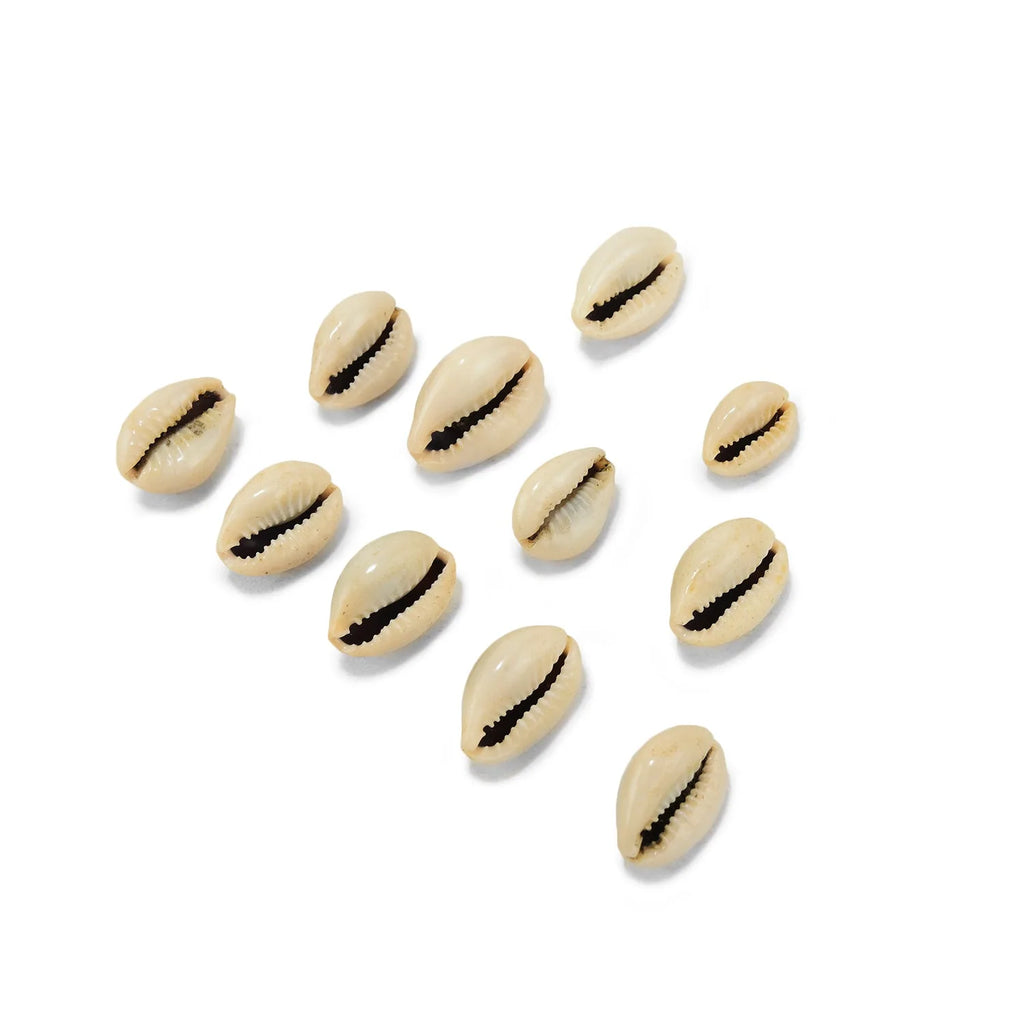pujashree-kauri-11-pcs