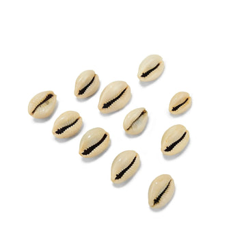 pujashree-kauri-11-pcs