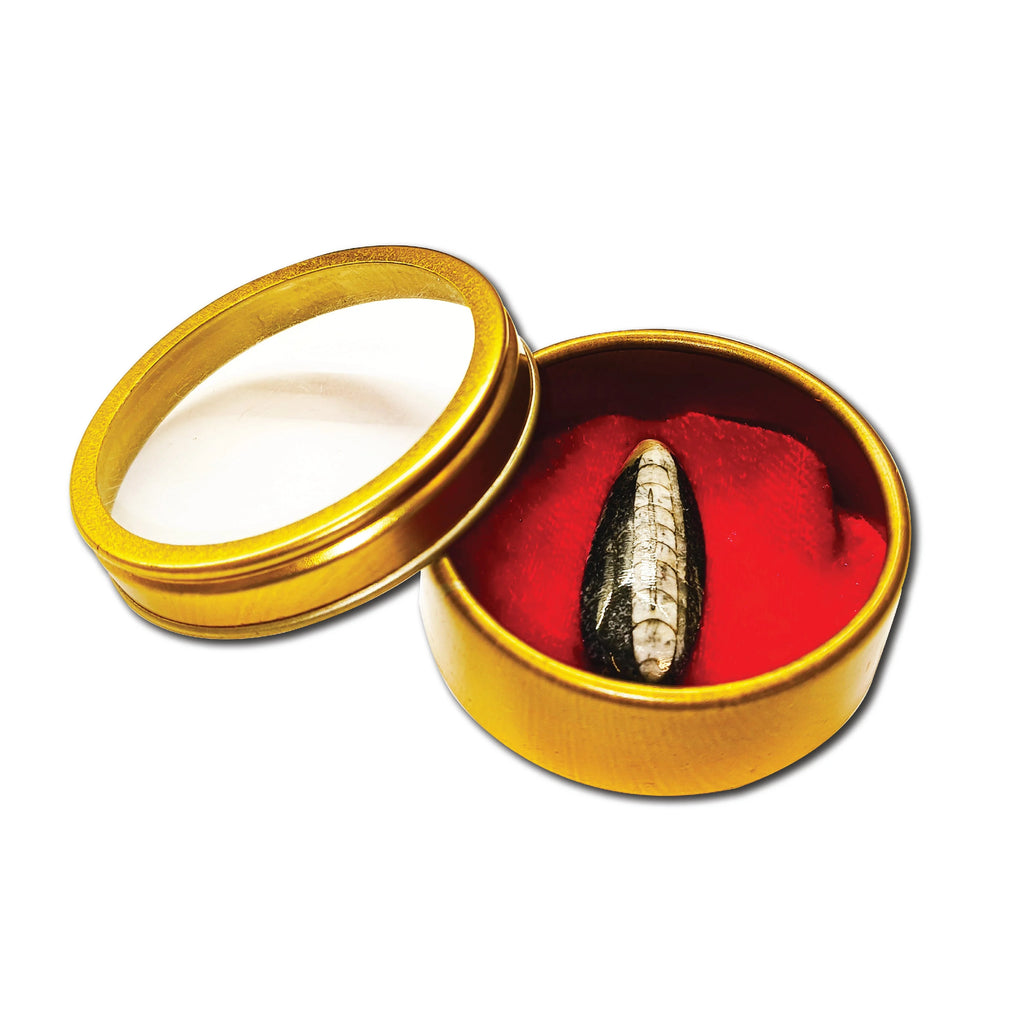 pujashree-kuber-stone-1-pc-symbol-of-bhagwan-kuber-growth-success-brings-financial-stability