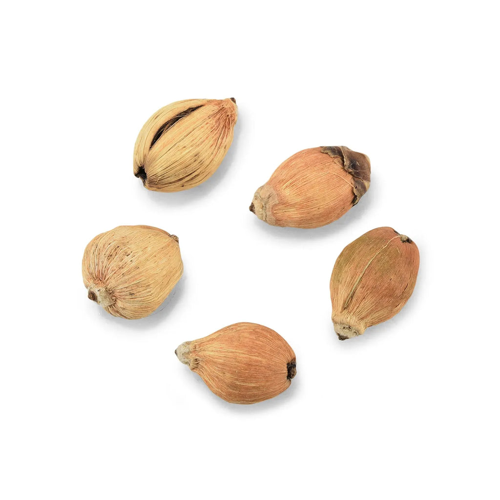 pujashree-laghu-nariyal-11-pcs