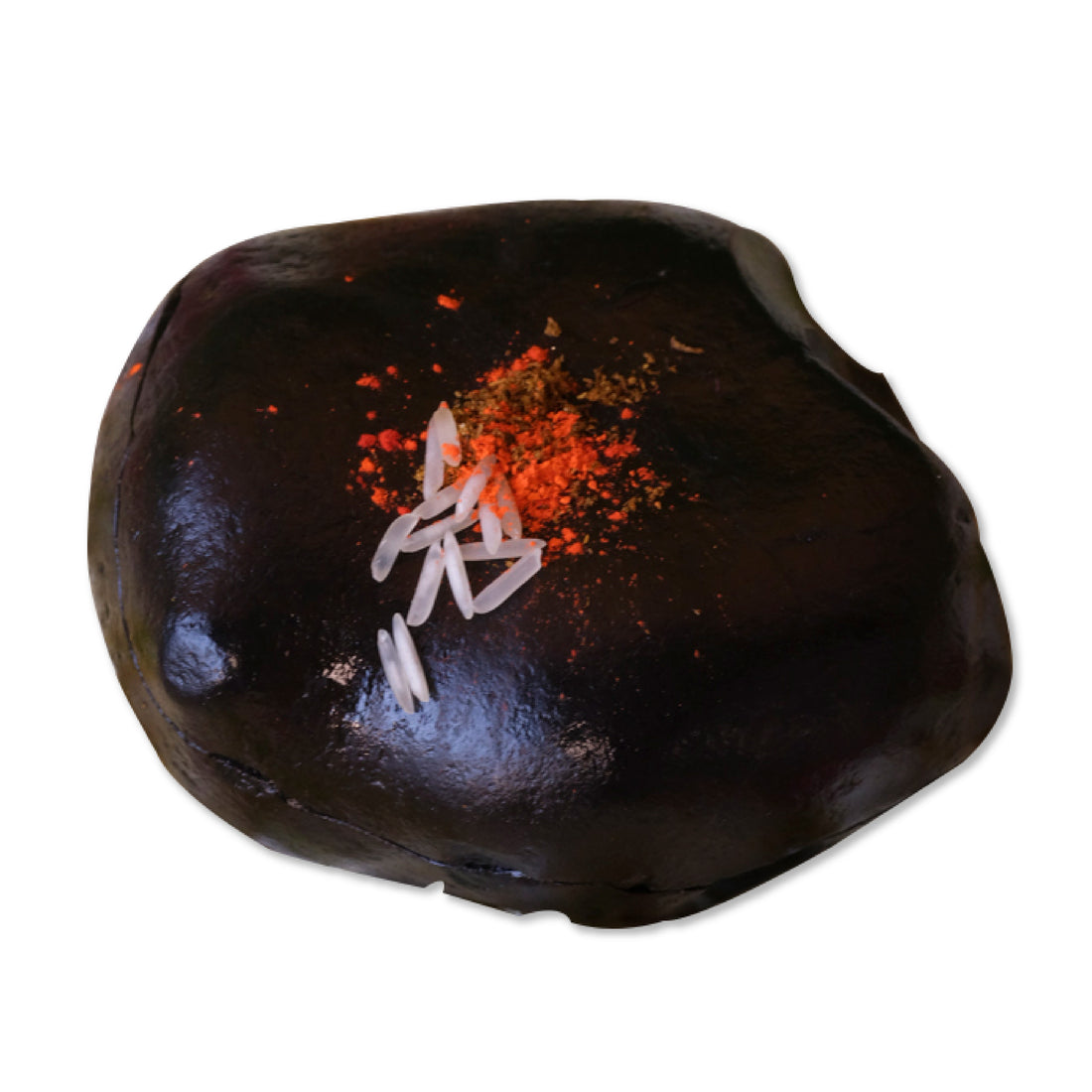 Shree Sudarshan Shaligram