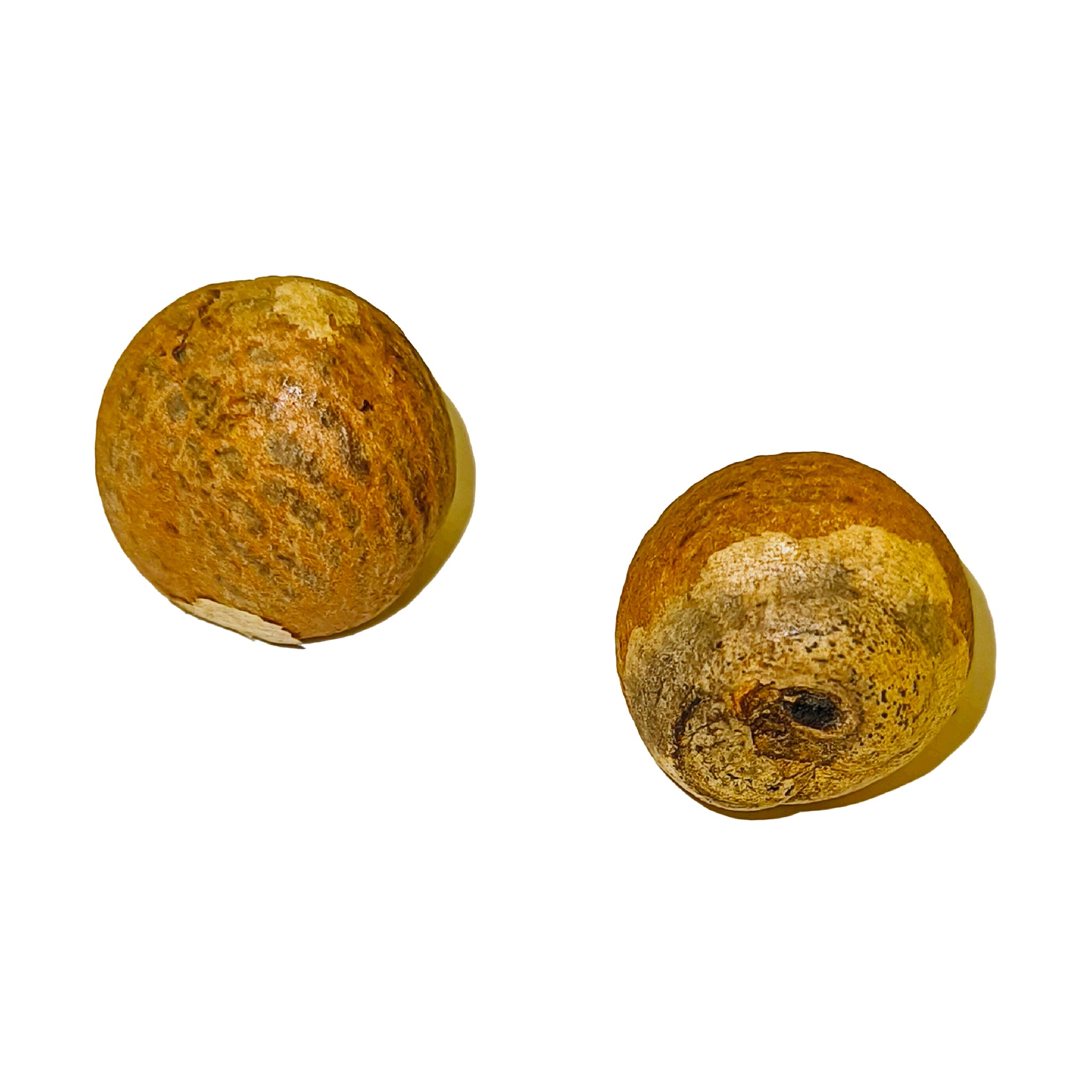 Safed Supari (Set of 11)